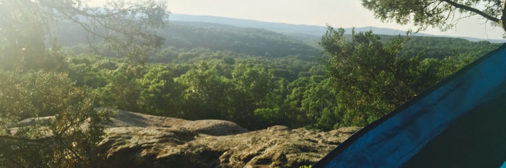 nicoleisdandy's profile banner image