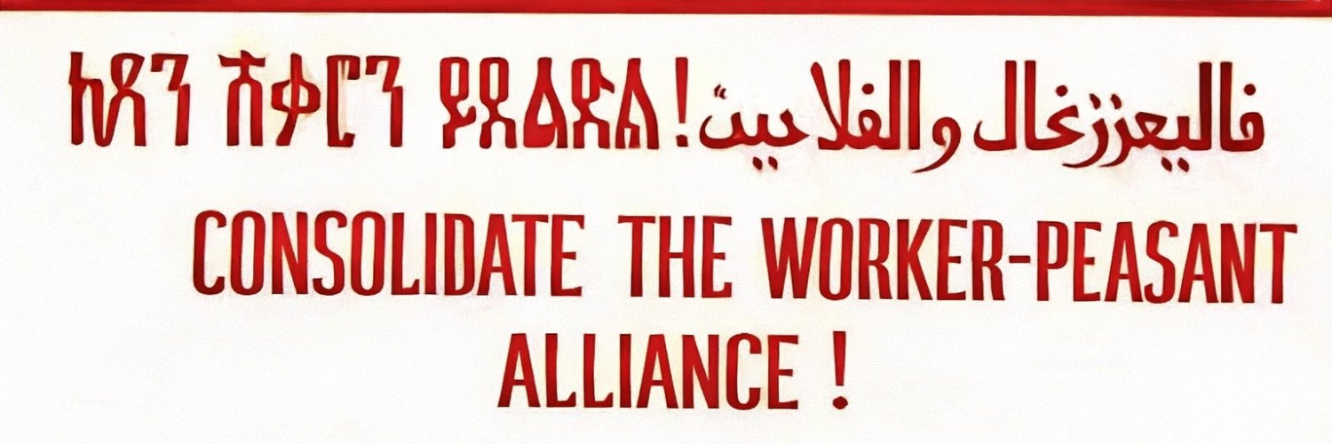 Eritreans For Socialism banner