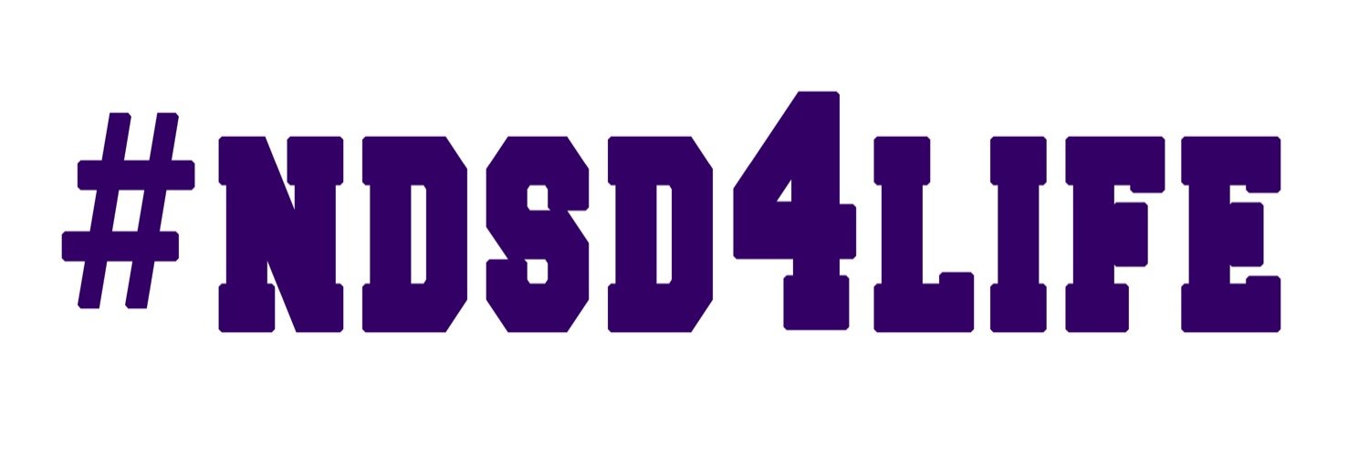 NDSDstudio's profile banner image