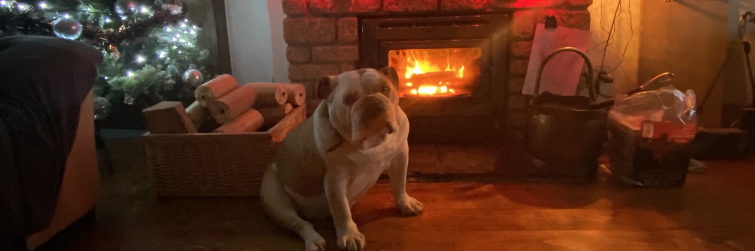 Michelle Ashley banner