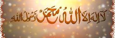 الذيب banner