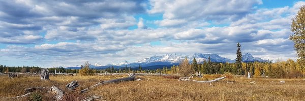 lulucian Profile Banner