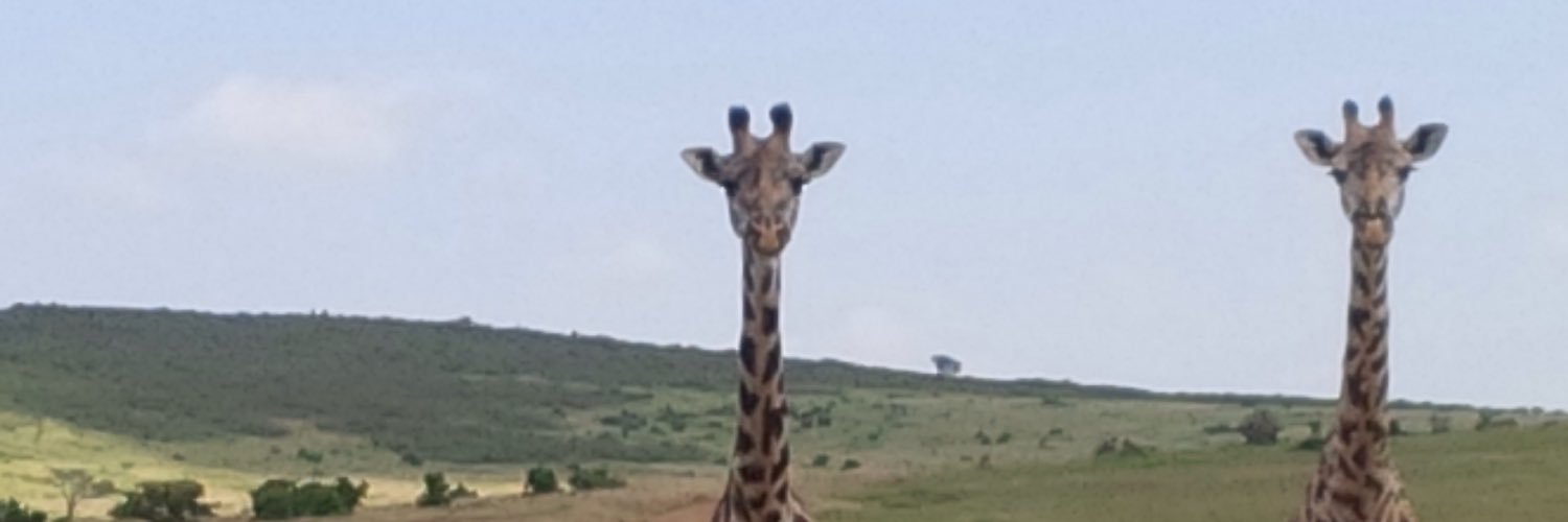 Marie Morrissey banner