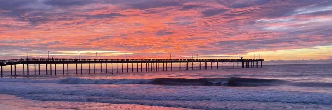 Roni Shoemaker banner