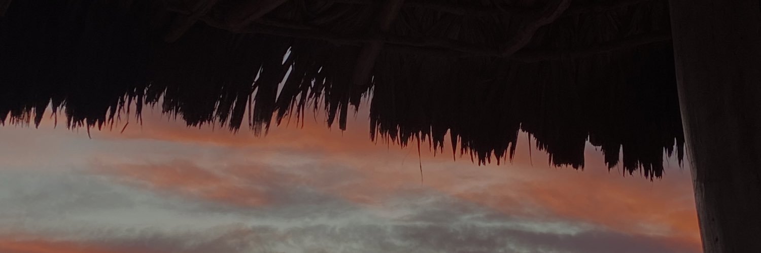 Rosariolgam's profile banner image