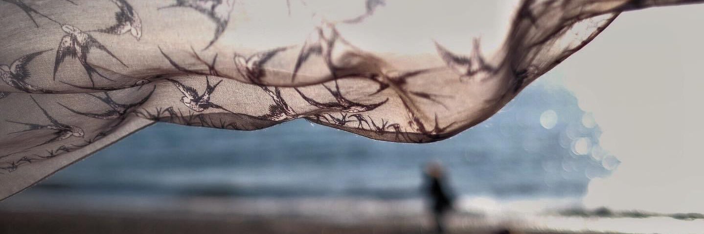 roachphotouk's profile banner image