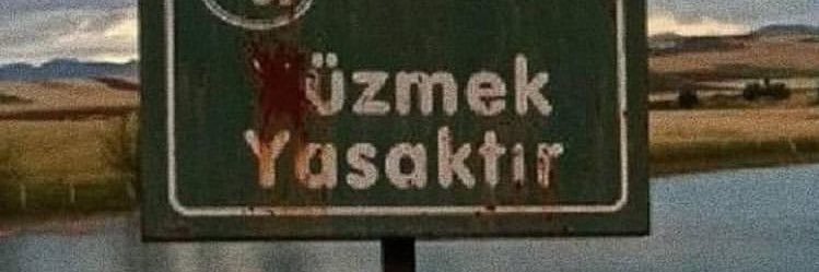 faikdd's profile banner image