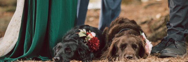 ErinSupinka Profile Banner