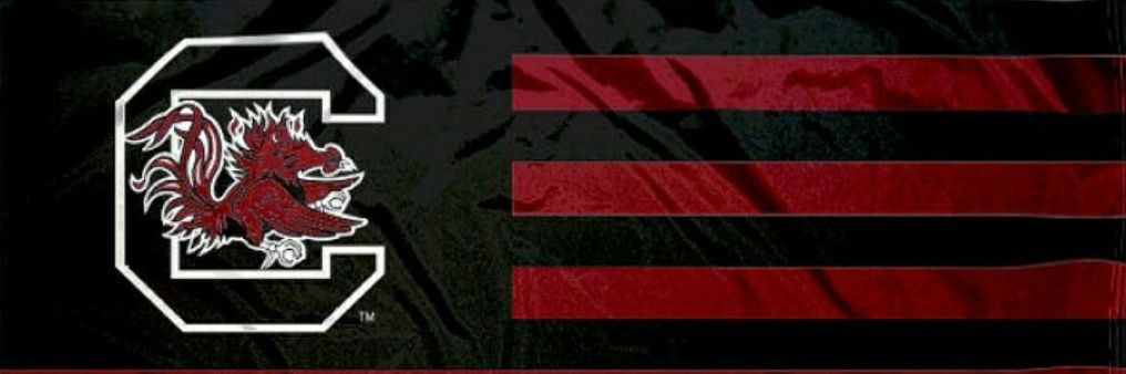 DawnMCote's profile banner image