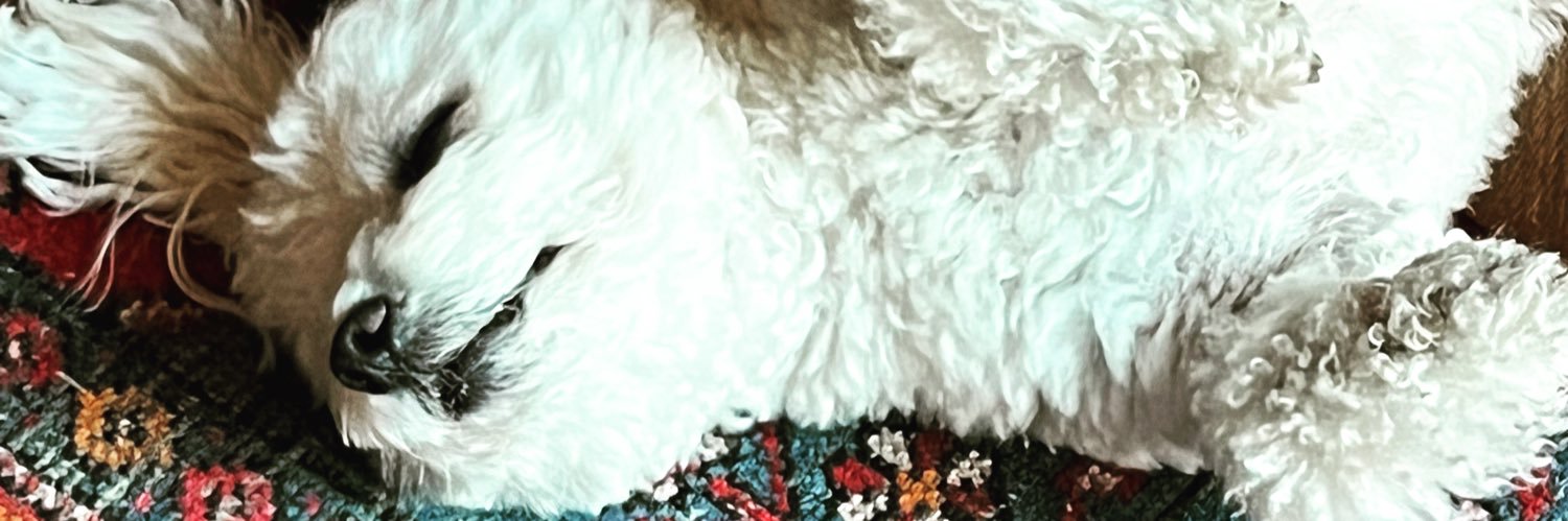 CymroGlyn 🏳️‍🌈🏴󠁧󠁢󠁷󠁬󠁳󠁿🏉🍾♿️ banner