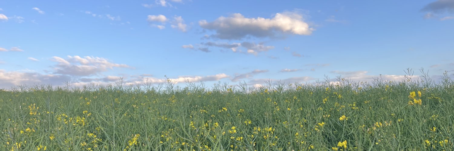 DavidStahlaw's profile banner image