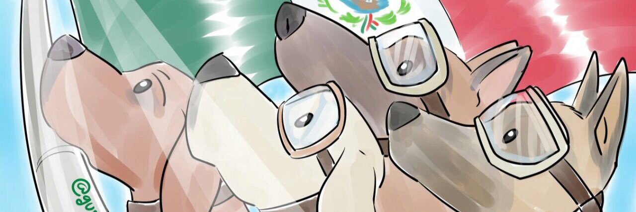 ositoran's profile banner image