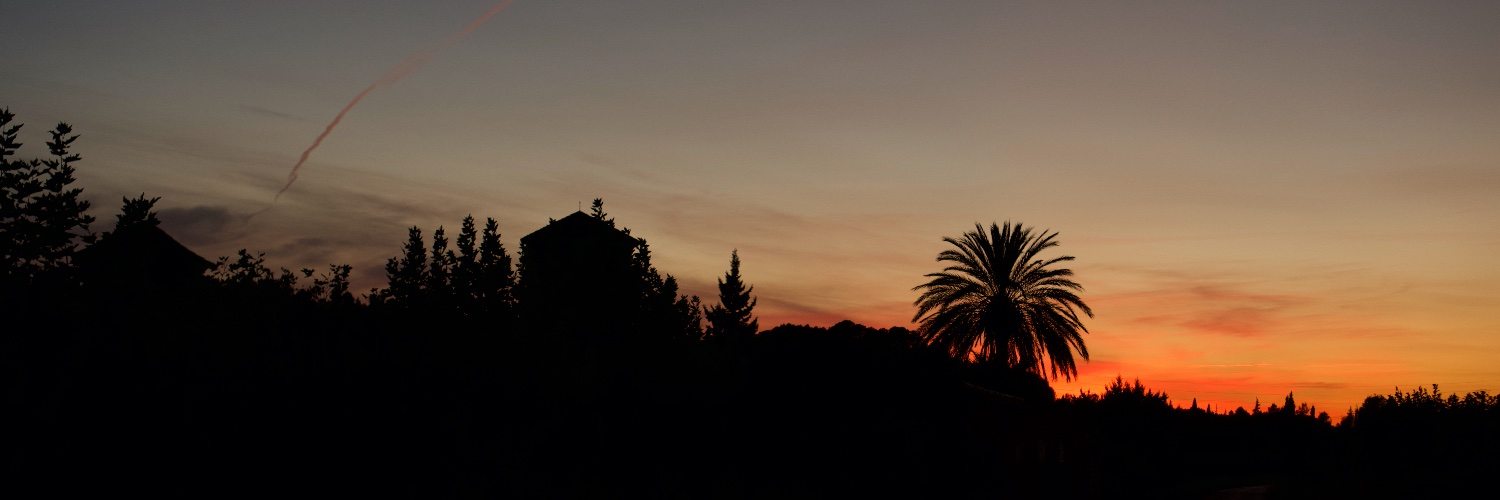 DavidQueBuena's profile banner image
