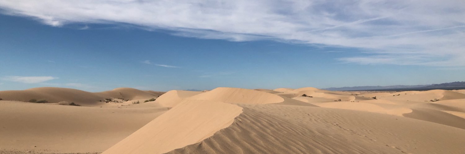 Bok Choy Soy Boy banner