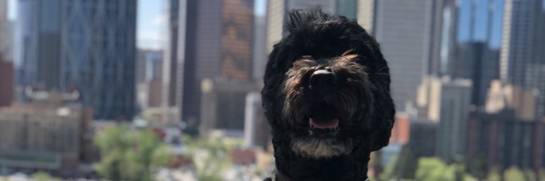 Colabutt's profile banner image