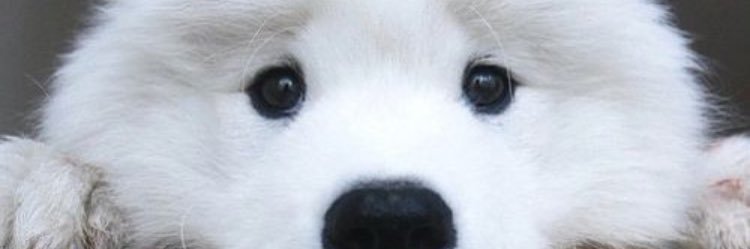 alyssakj02's profile banner image