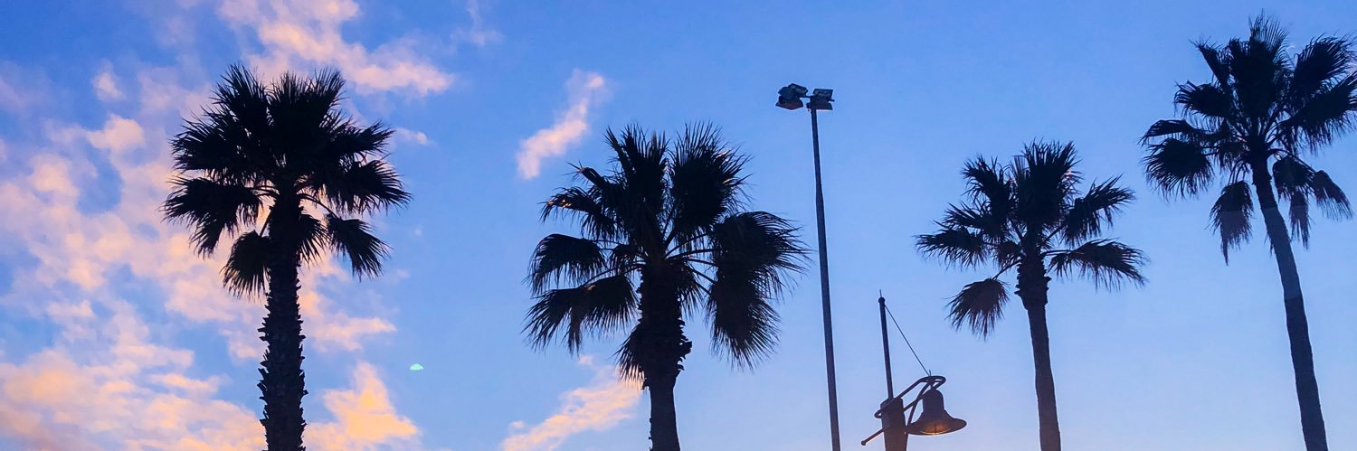 demisnugget's profile banner image