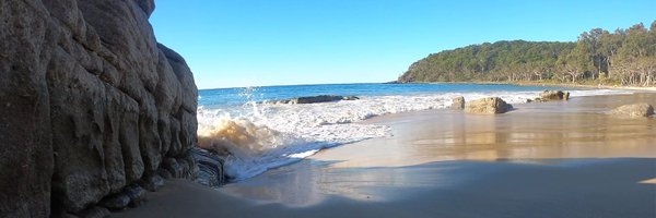 MeinhardtThomas Profile Banner