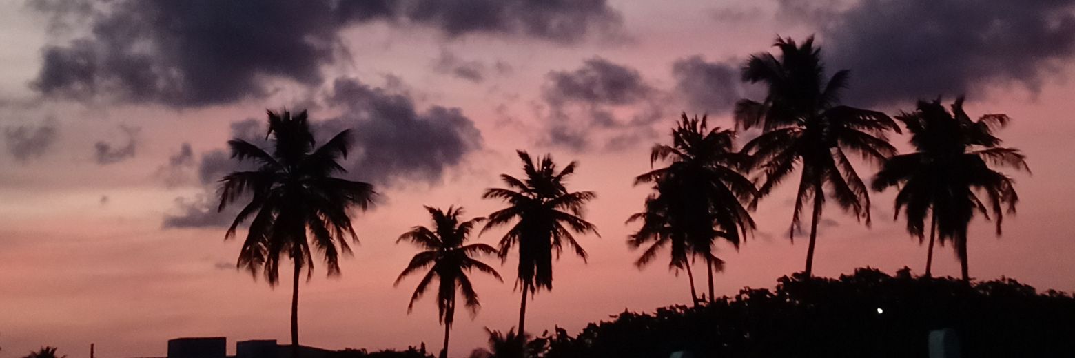 AlanRenisson2's profile banner image