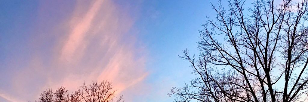 Norma C banner