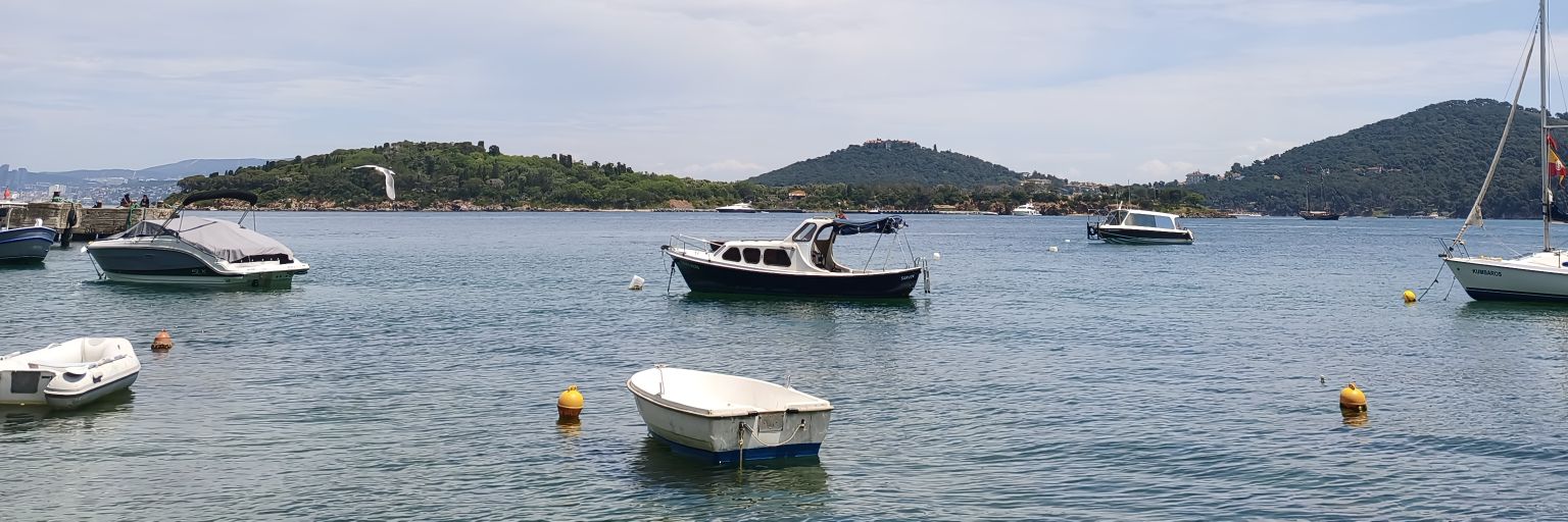 Şayan Demirrenk Demirci banner
