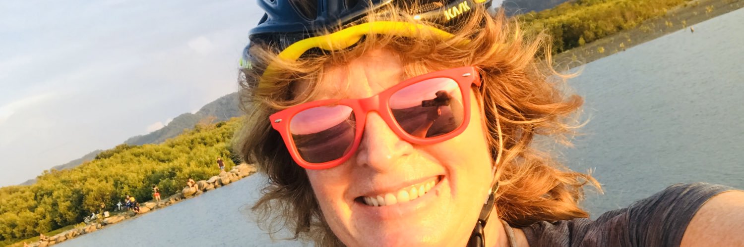 LisaStrock's profile banner image