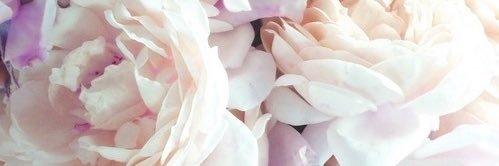 hunny_loo's profile banner image