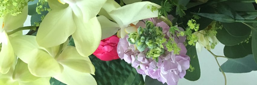SarahMullaly's profile banner image