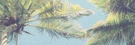 rillley__'s profile banner image