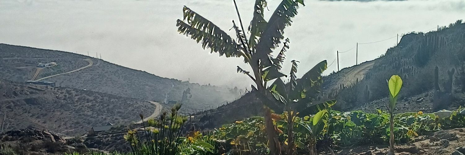 Babolabbe's profile banner image