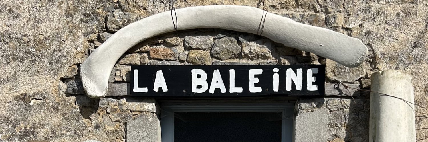 Aurélien Bellanger banner