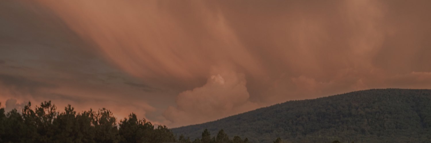 jentrileray's profile banner image