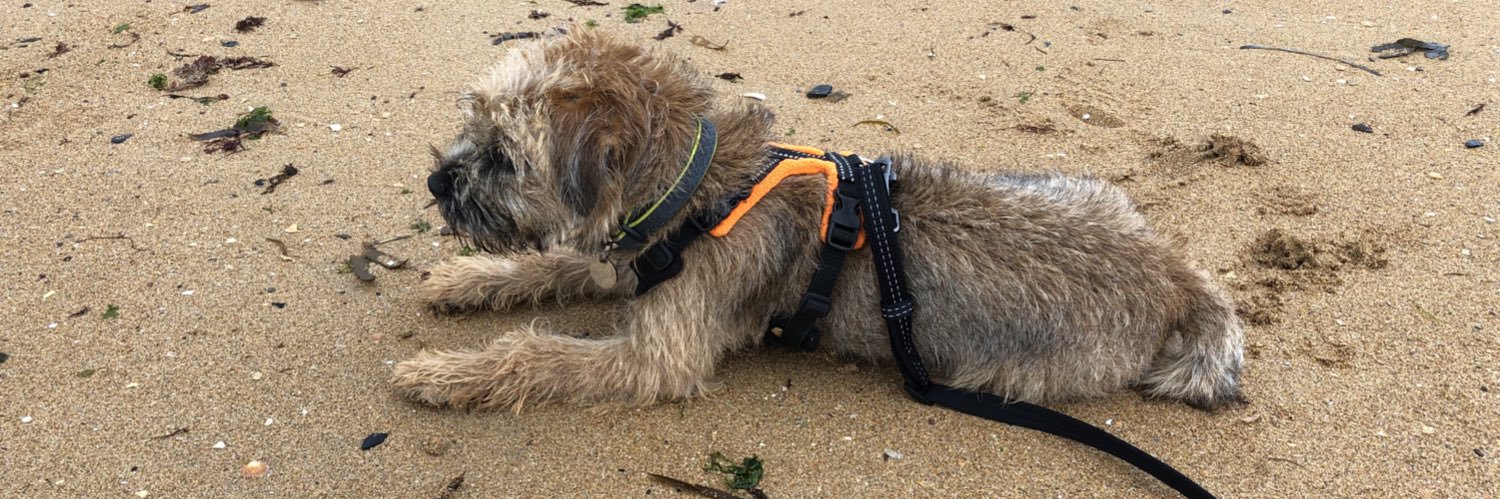 James Phillips banner