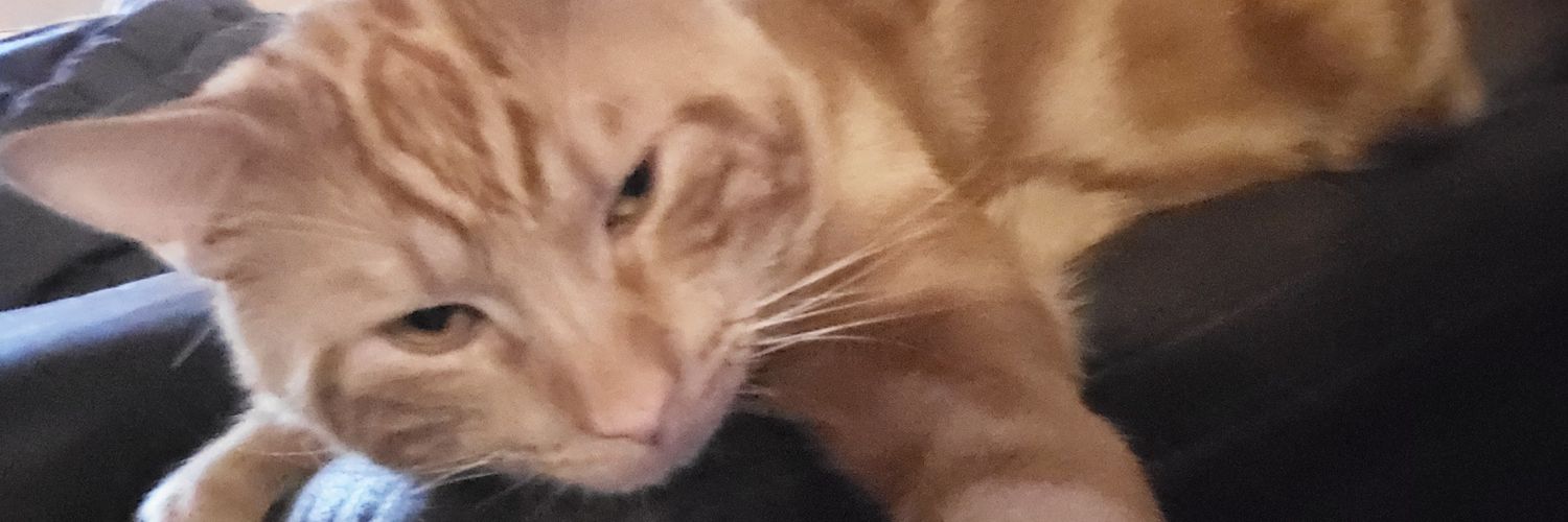 kerploshh's profile banner image