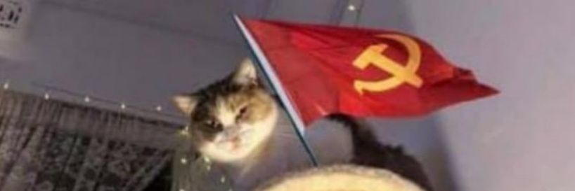 fransanoti's profile banner image