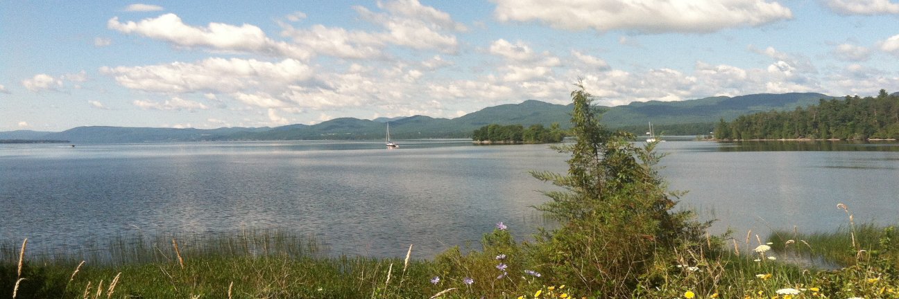 connie rosser riddle banner