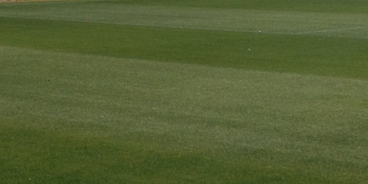 titi banner