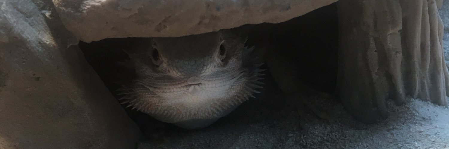 NusiJoan's profile banner image