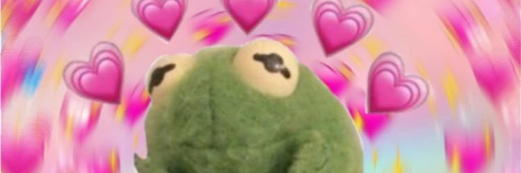 Allybearrr6's profile banner image