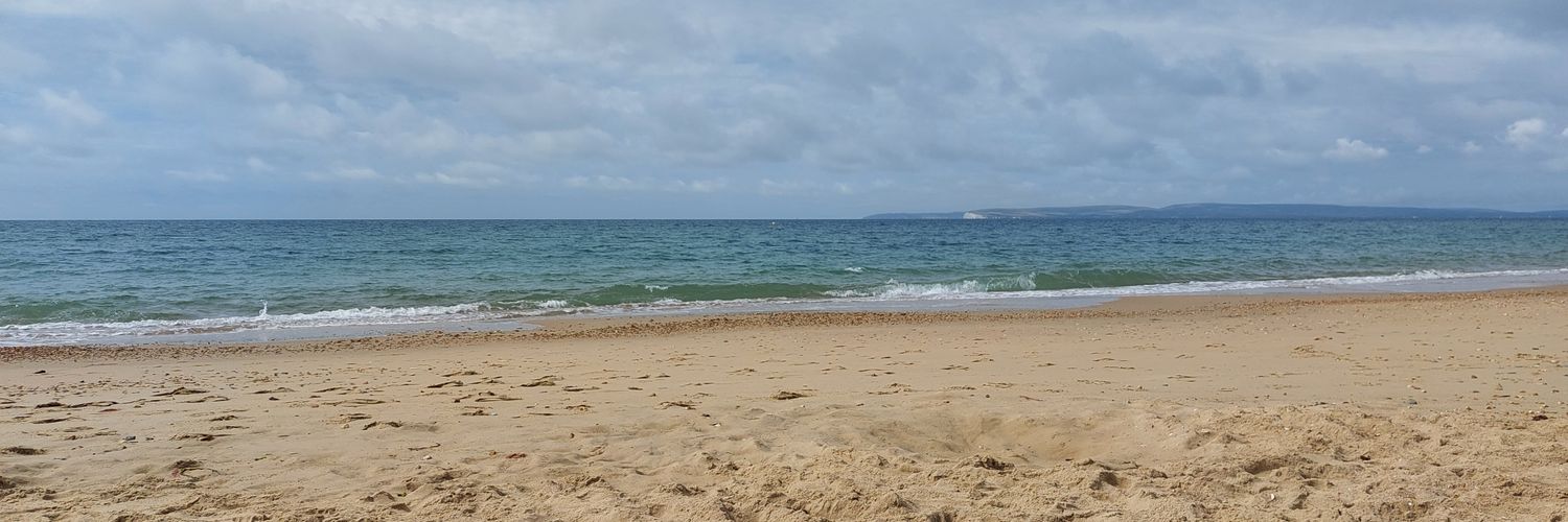 Michelle Evans banner