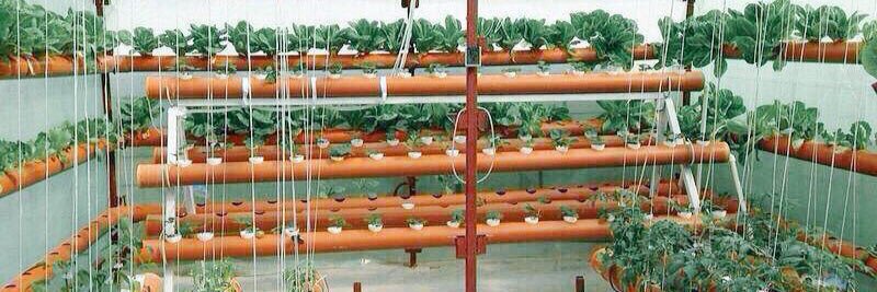 hydroponics_kw's profile banner image