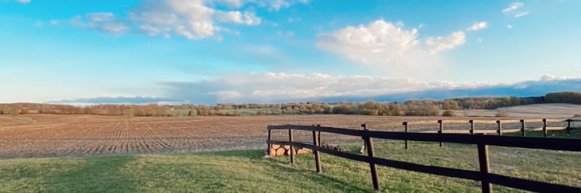 Sam McDaid 🤘🏼 banner