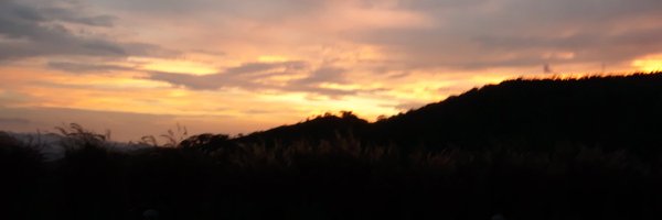 RosenzweigP Profile Banner