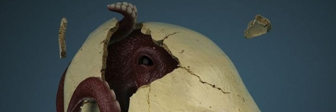 BuloBulito's profile banner image