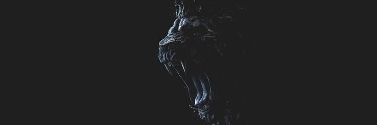 coltonn8's profile banner image
