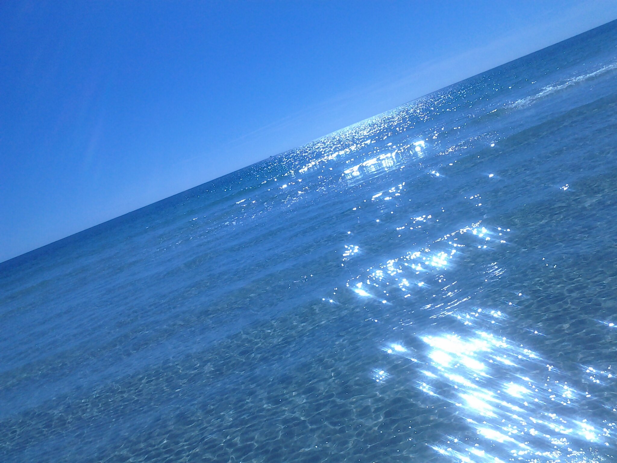 radiantly_chic's profile banner image
