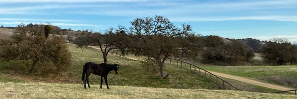 GloriousAllianc Profile Banner