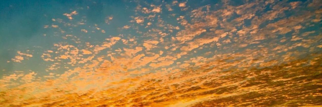 nitss's profile banner image