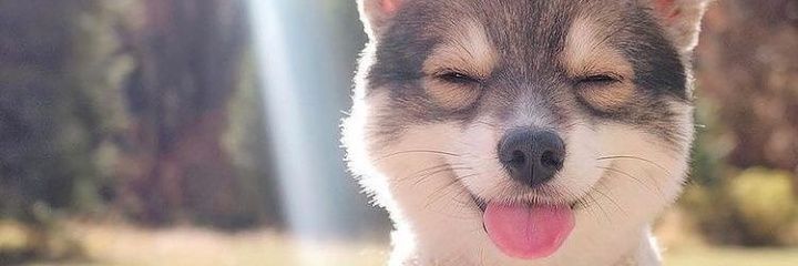 MWEMAJOSPHAT's profile banner image