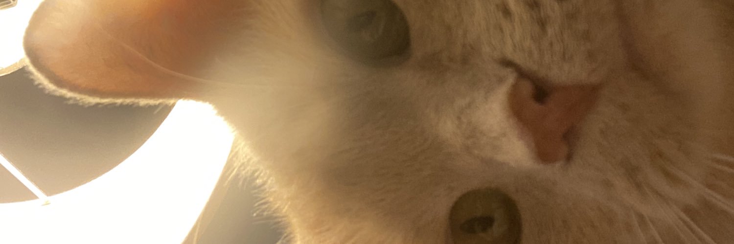 snowleopard205's profile banner image
